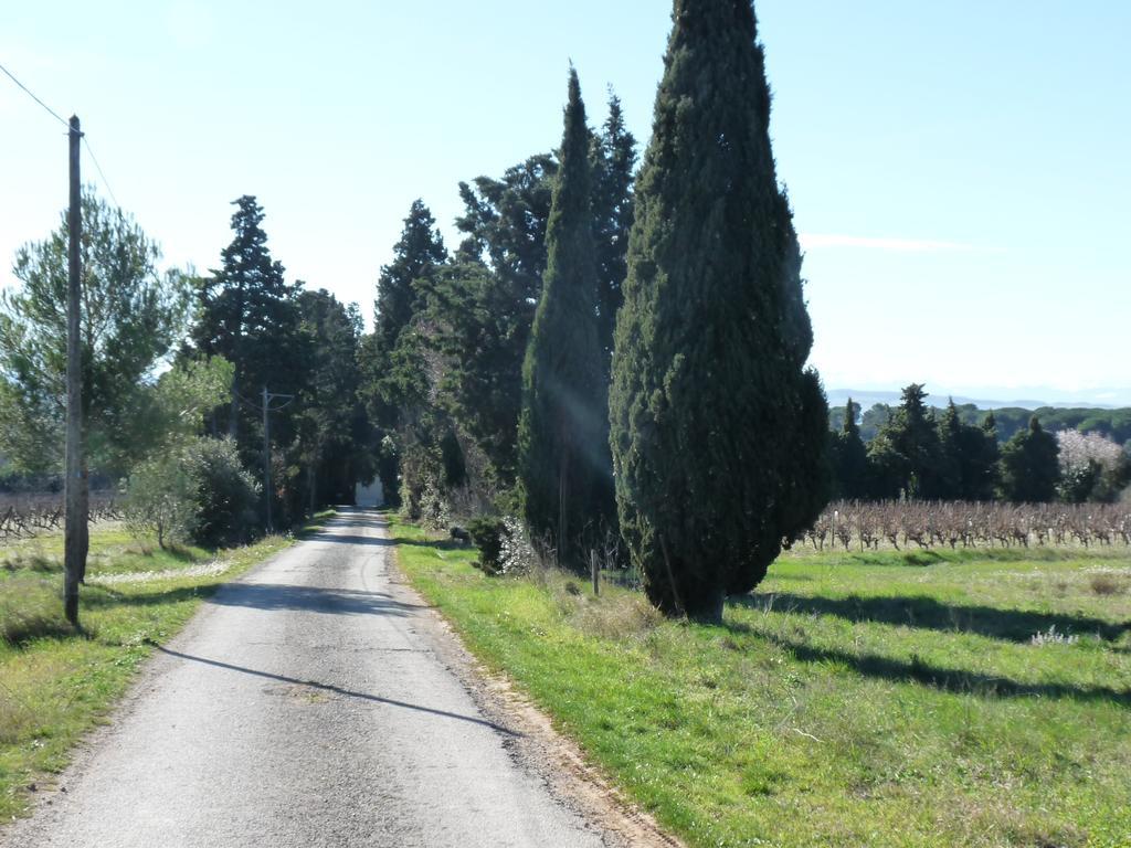 Château la Bouriette Moussoulens Eksteriør billede